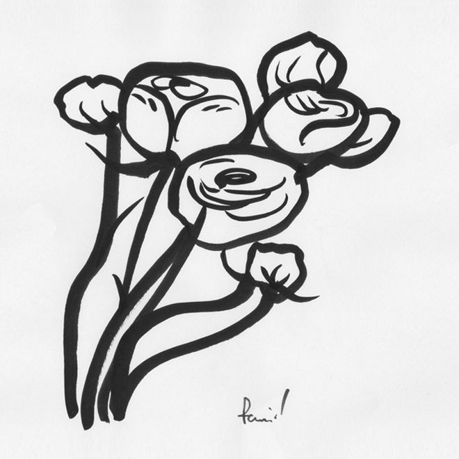 イラストレーター,illustrator,ドローイング,Drawing,Abiru Remi,flower,花,botanical,植物,